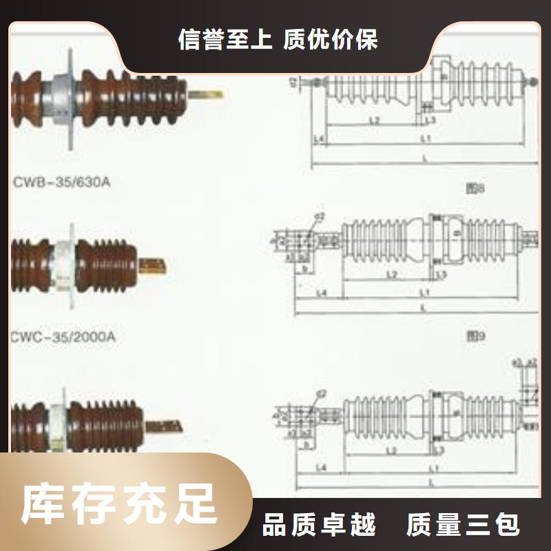 CWW-35/1000高压穿墙套管