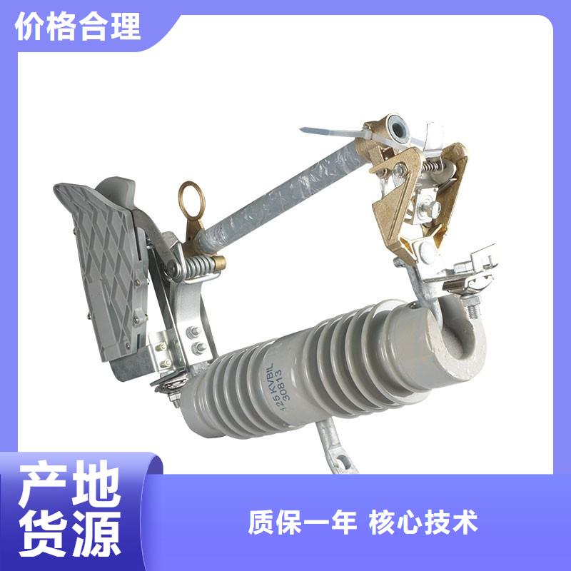 RNK-6/2A高压熔断器厂家
