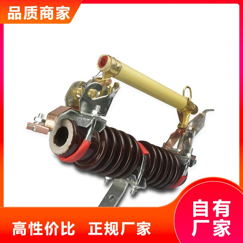 RN1-10/75高压保险管