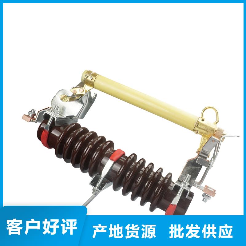 XRNP-24KV/3.15A高压保险管