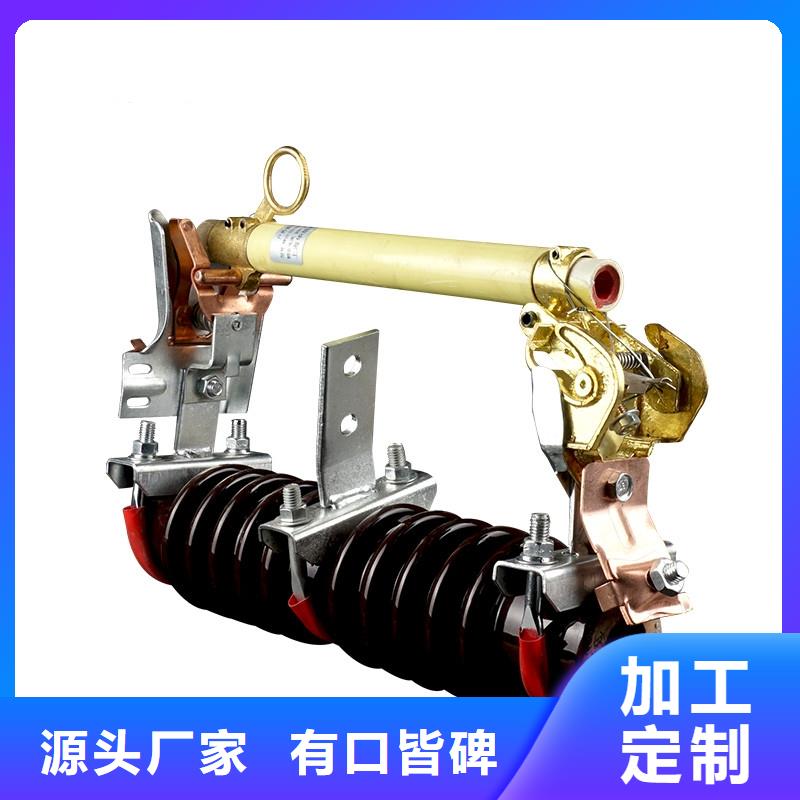 XS-6KV/100A跌落式熔断器樊高
