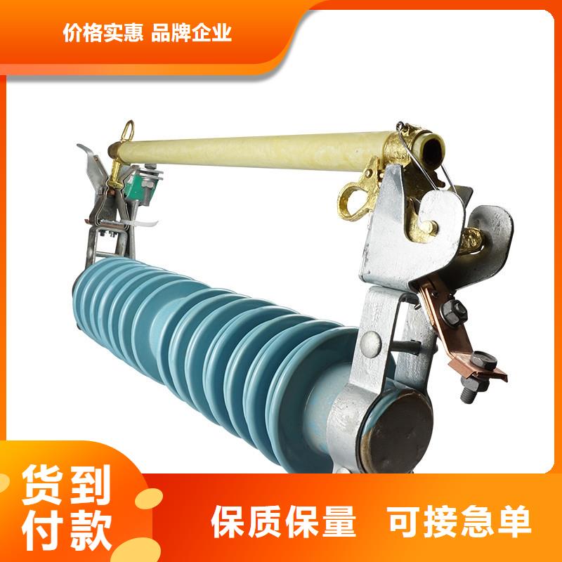RW7-10/100A跌落开关樊高