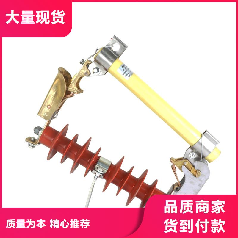 NCX-10/200A出口型跌落保险
