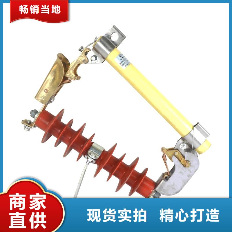 RW11-10/100跌落式熔断器樊高