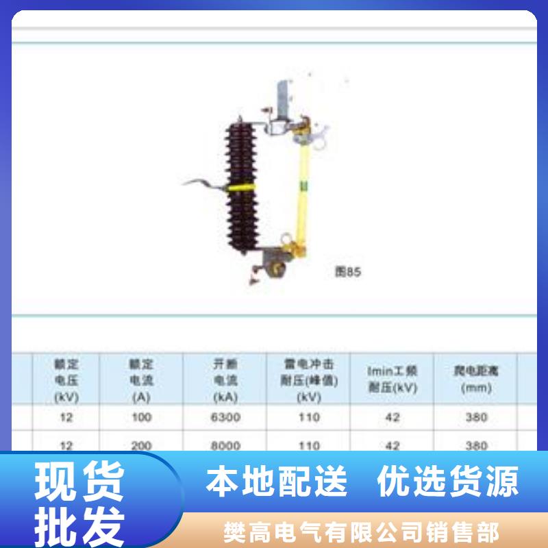 XRNP-24KV/3.15A高压保险管