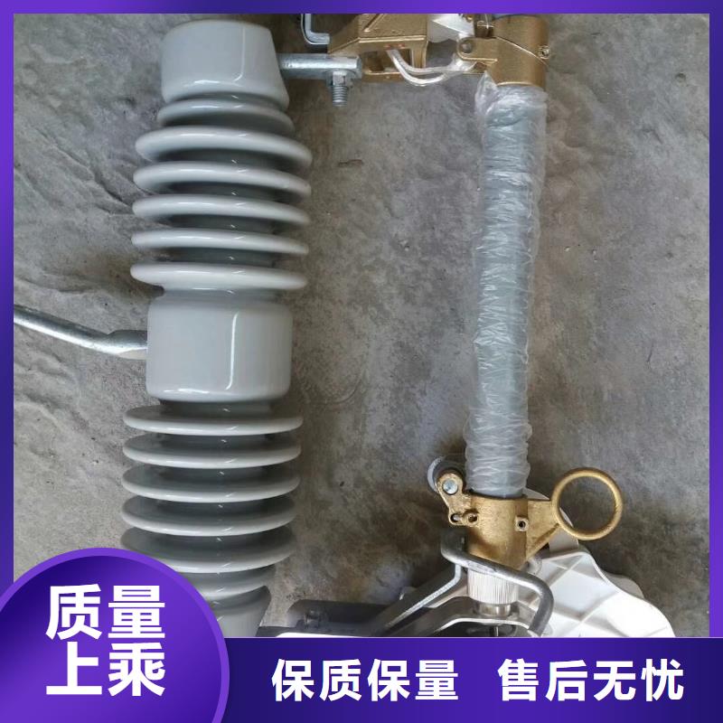 HPRW12-10/100A高压熔断器樊高