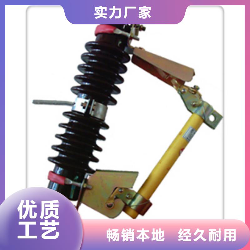HPRW12-10/100A高压熔断器樊高