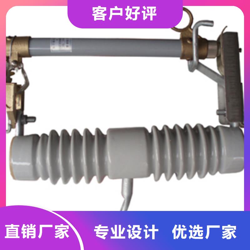 RW11-10/100跌落式熔断器樊高