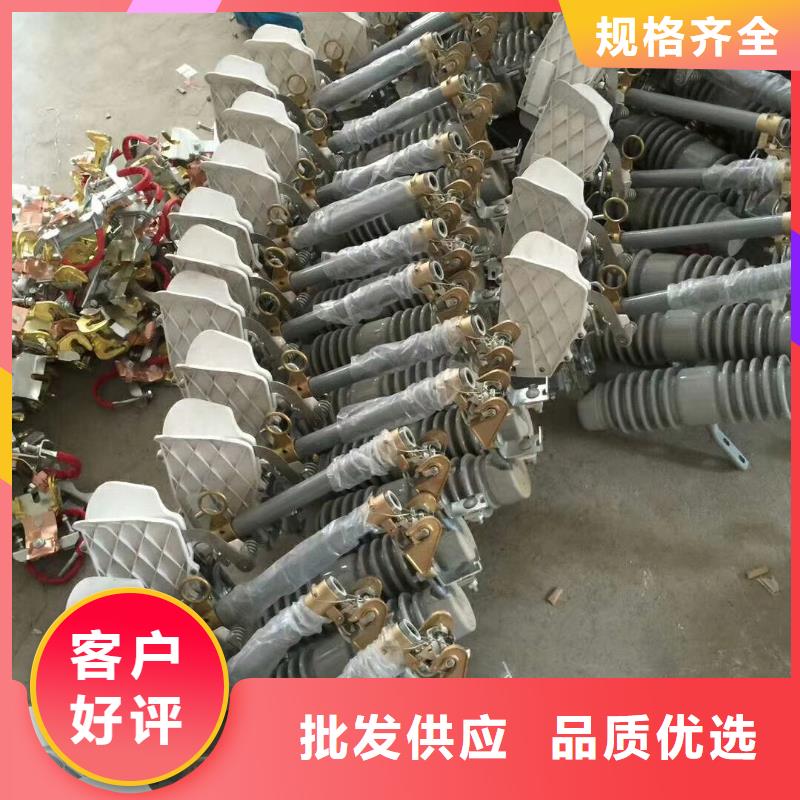 WFNHO-10/100A熔管