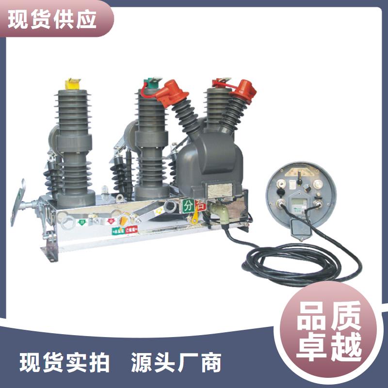 ZW7-35/630-31.5永磁真空断路器樊高