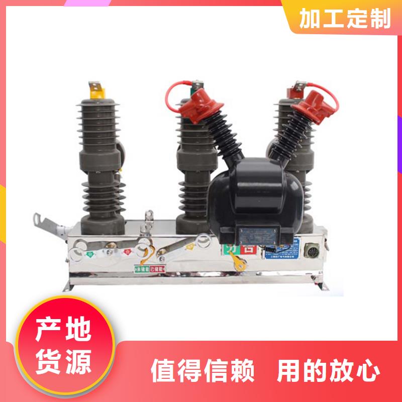 ZW43A-12G/T630户外高压真空断路器