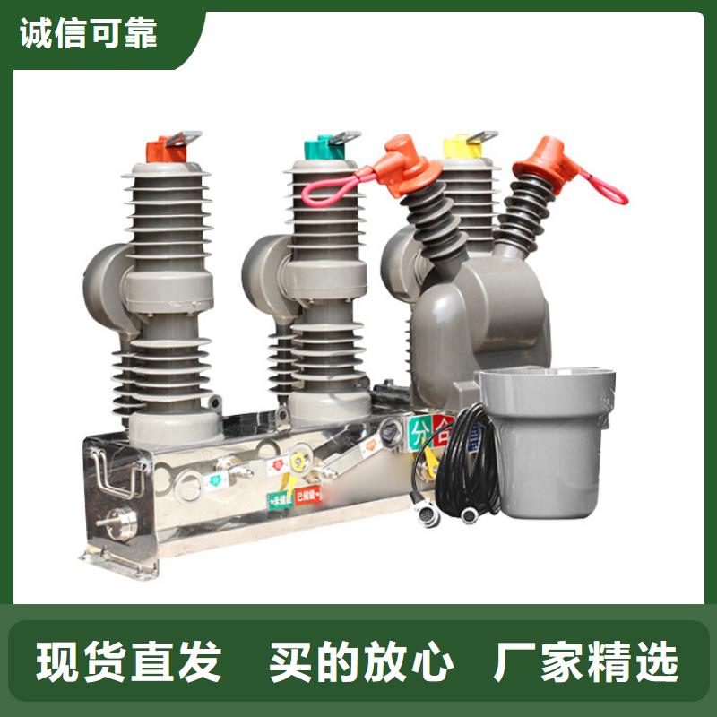 ZWM9-12永磁真空断路器