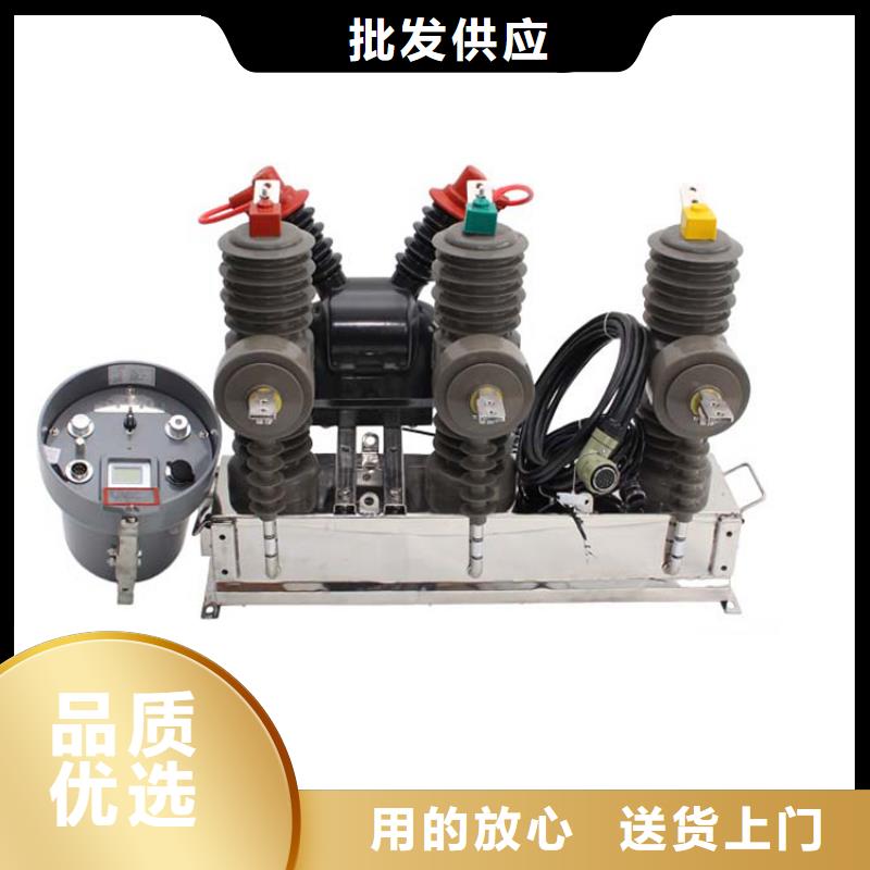 【真空断路器,氧化锌避雷器销售厂家】
