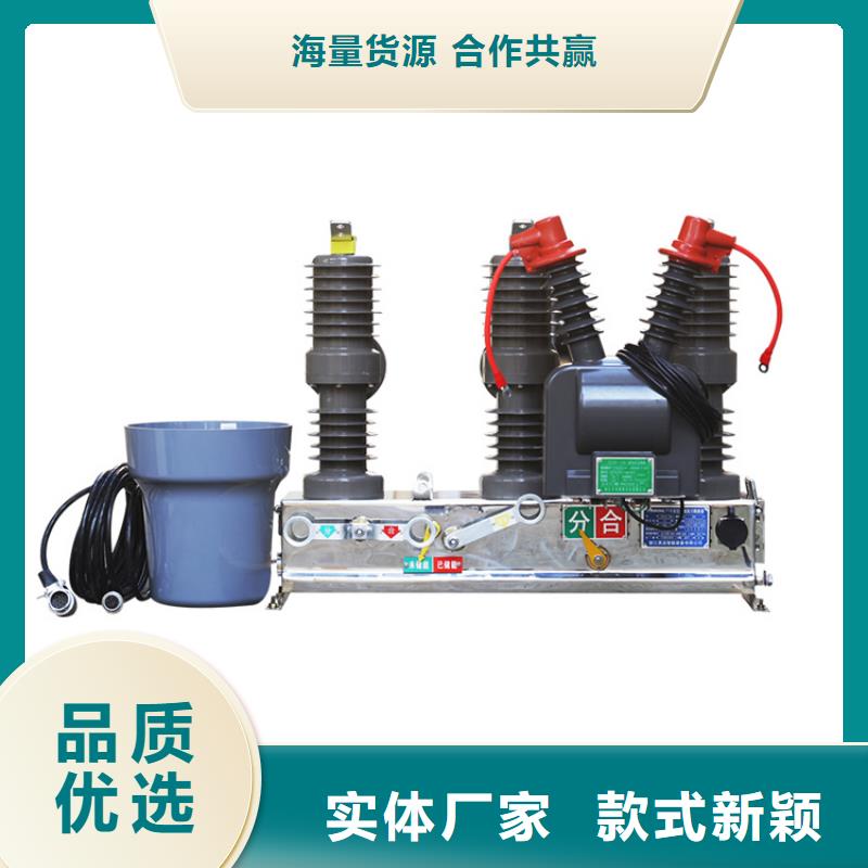【真空断路器,氧化锌避雷器销售厂家】