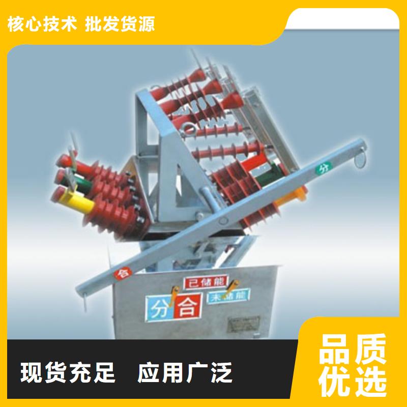 【真空断路器,限流熔断器实力派厂家】