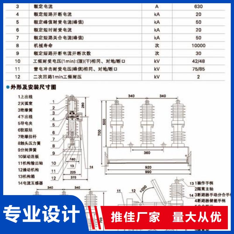 LW36-126/2500-40高压断路器樊高