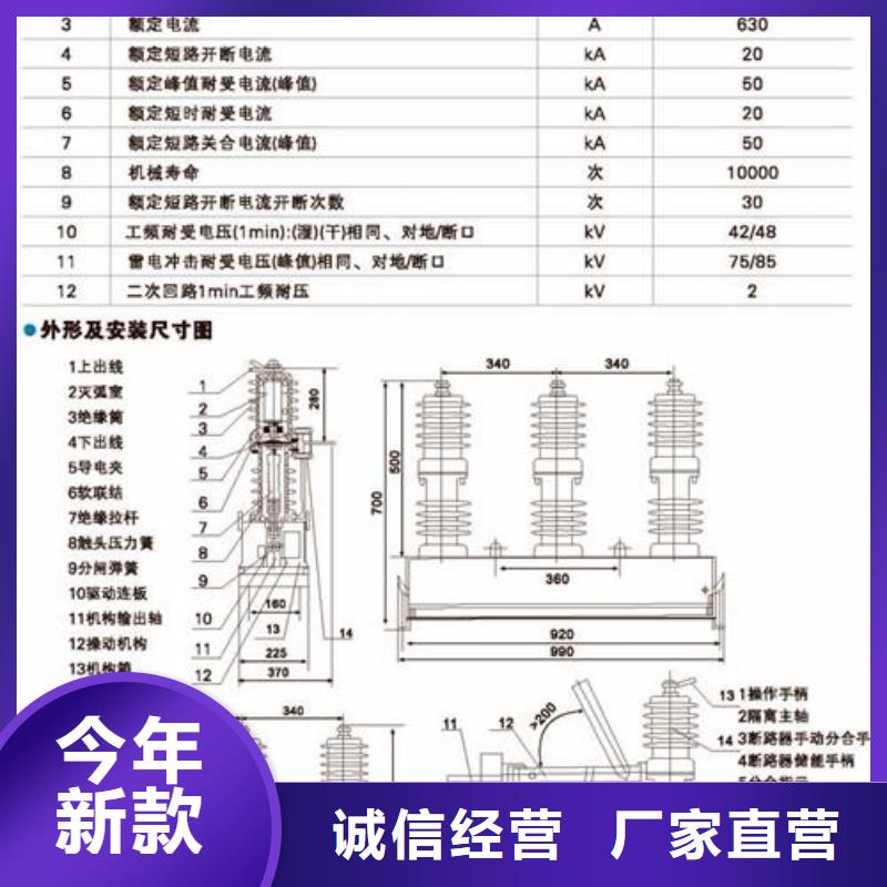 LW36-126/2500-31.5高压断路器樊高