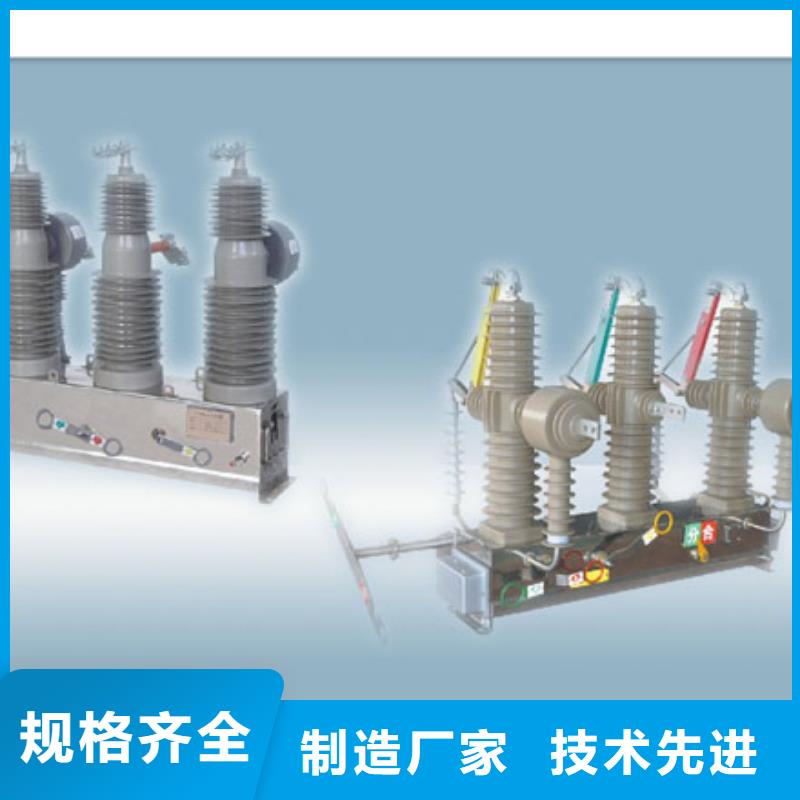 VS1-12/1000-25户内真空断路器手车式