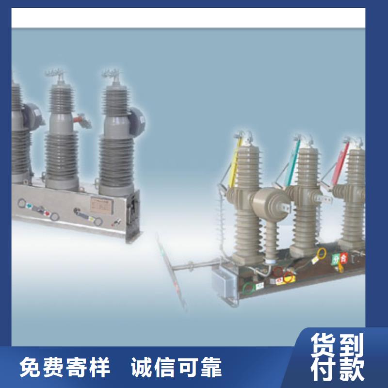 真空断路器高低压电器厂家