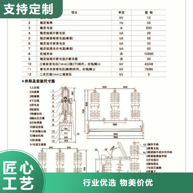 ZW43A-12/630-20带看门狗真空断路器樊高