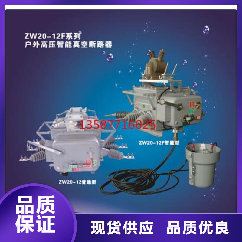 ZWM9-12永磁真空断路器