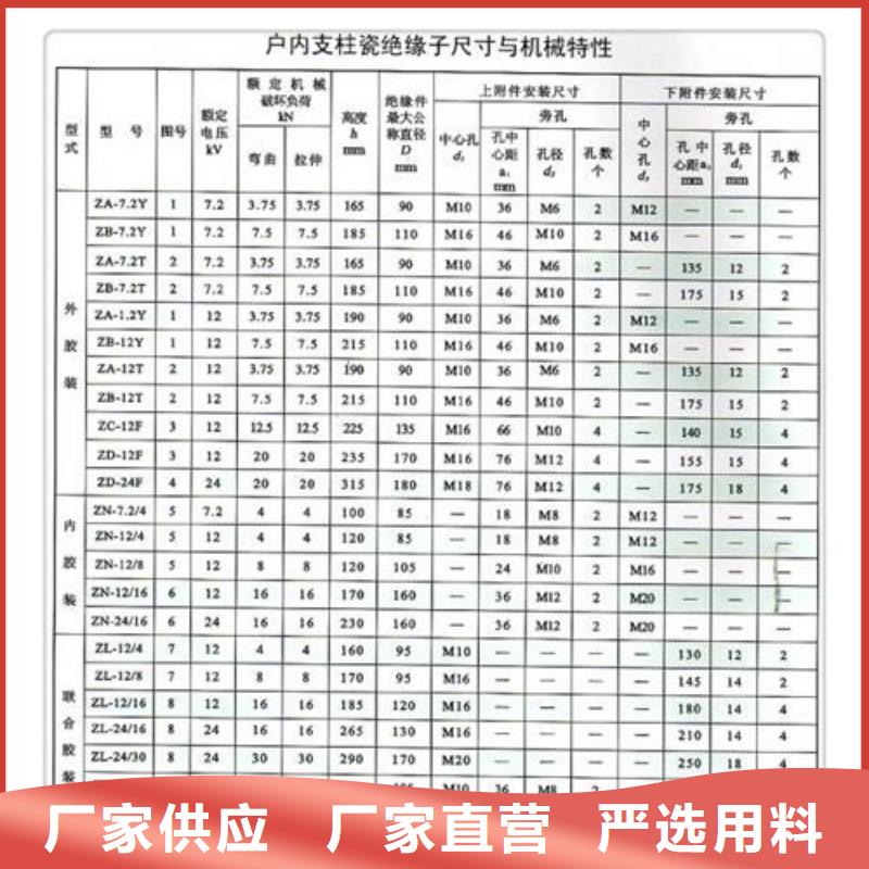 ZJ-10KV/65*140环氧树脂绝缘子
