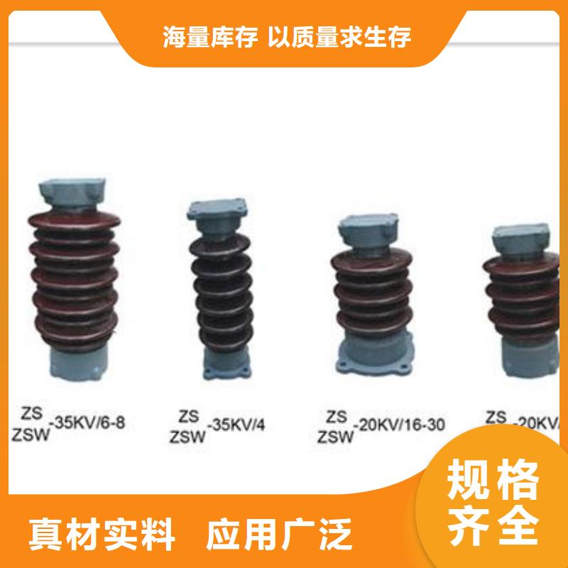 ZS-20/1600绝缘子樊高电气