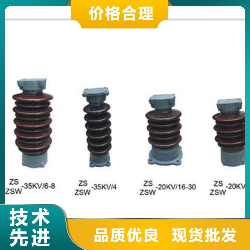 ZSW2-110/400户外支柱绝缘子