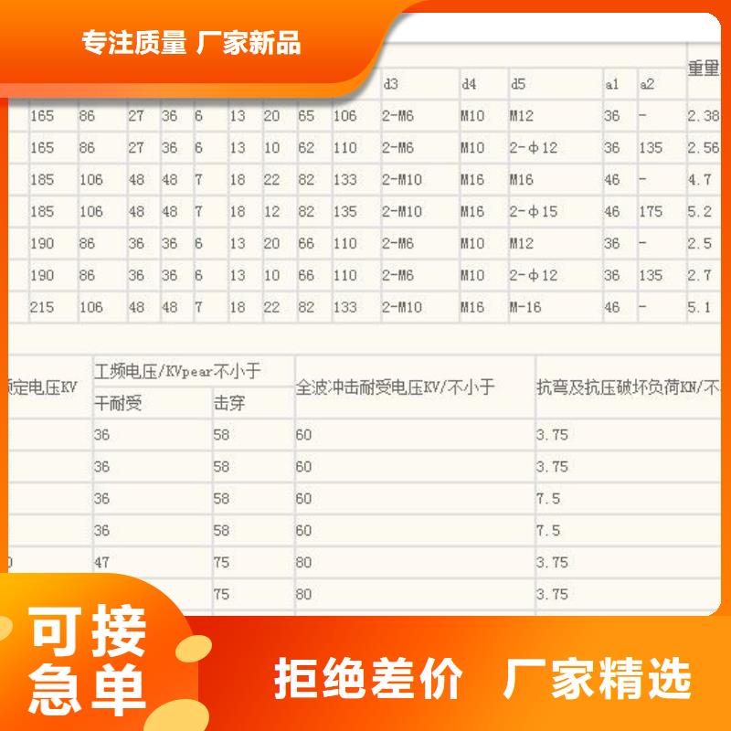 FZS-126/10硅胶绝缘子樊高