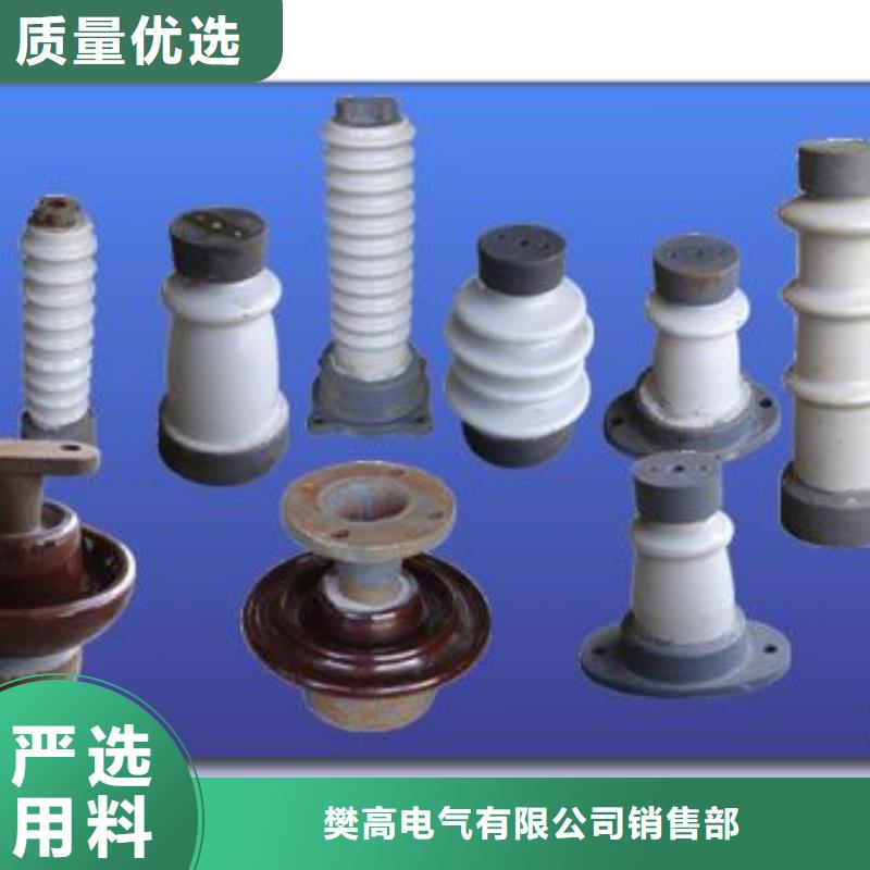 FXBW4-110/120绝缘子樊高