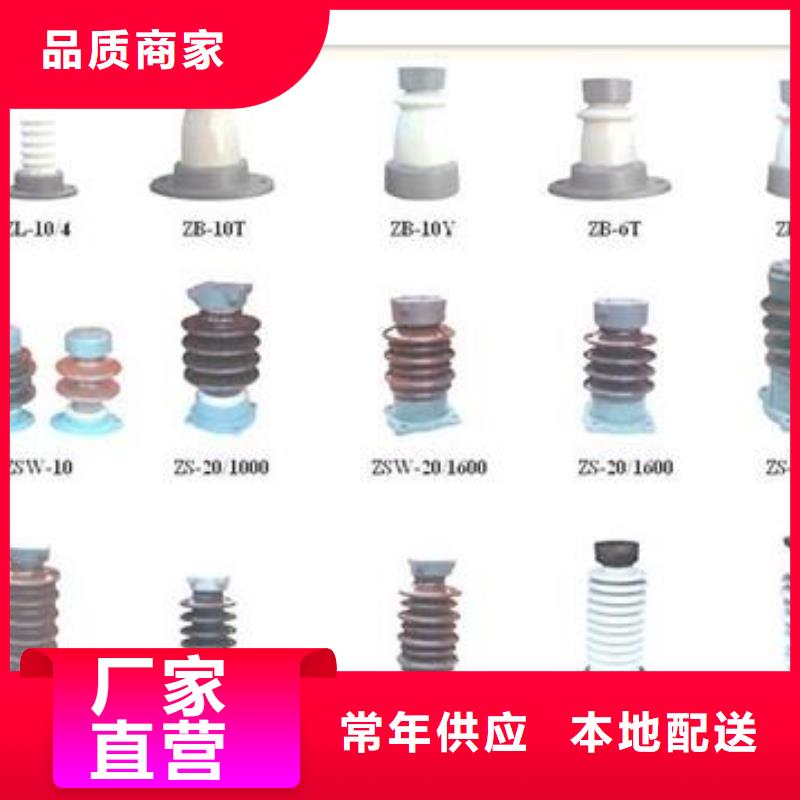 ZJ-35Q120*320高压环氧树脂绝缘子