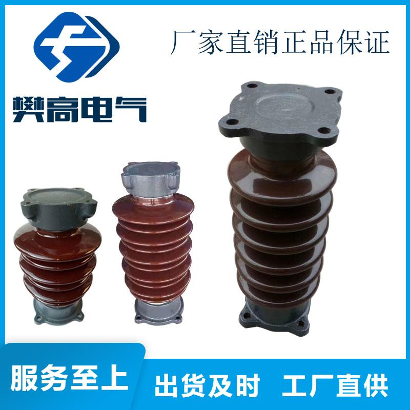 ZJ-10Q65*140高压环氧树脂绝缘子