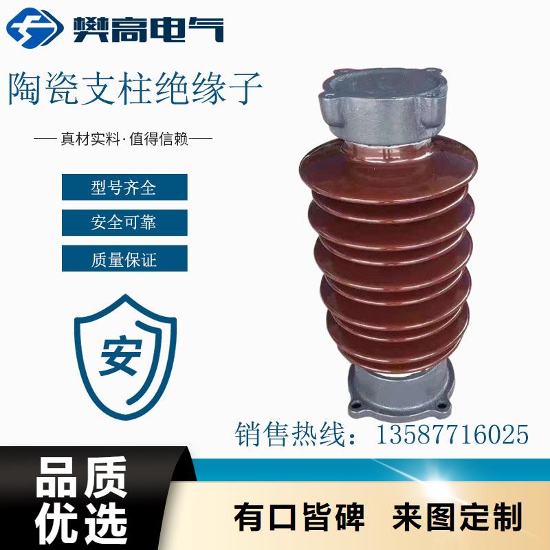 FZSW3-24/8L高压复合绝缘子