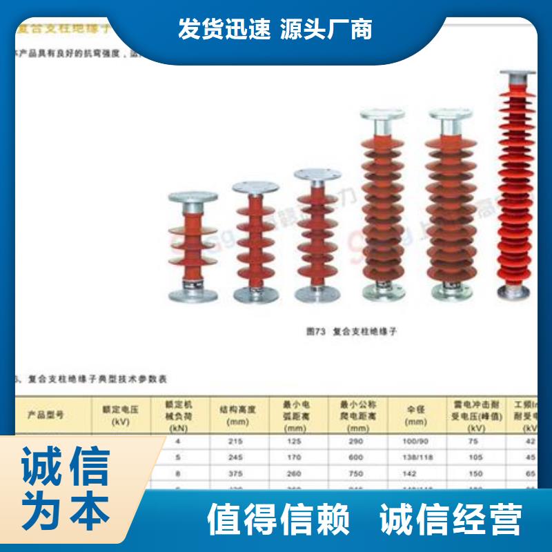 ZSW2-110/400户外支柱绝缘子