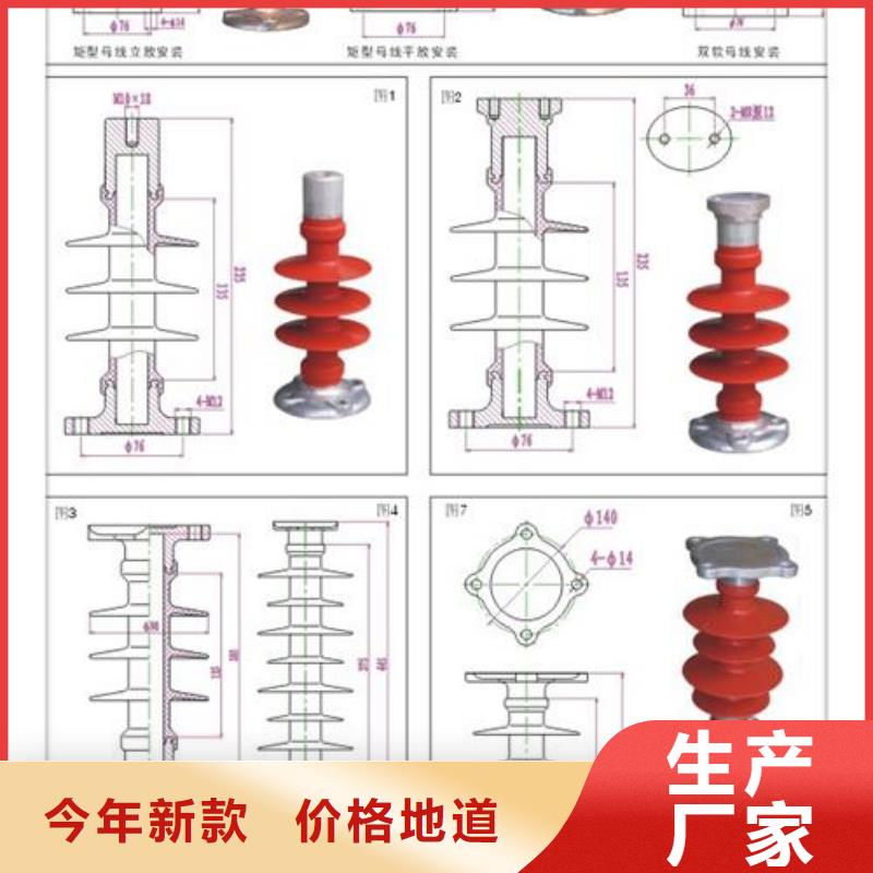 FZS-126/10硅胶绝缘子樊高