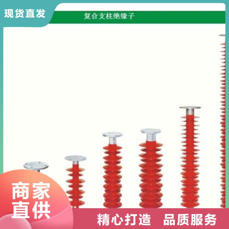 ZJ-10Q65*140高压环氧树脂绝缘子