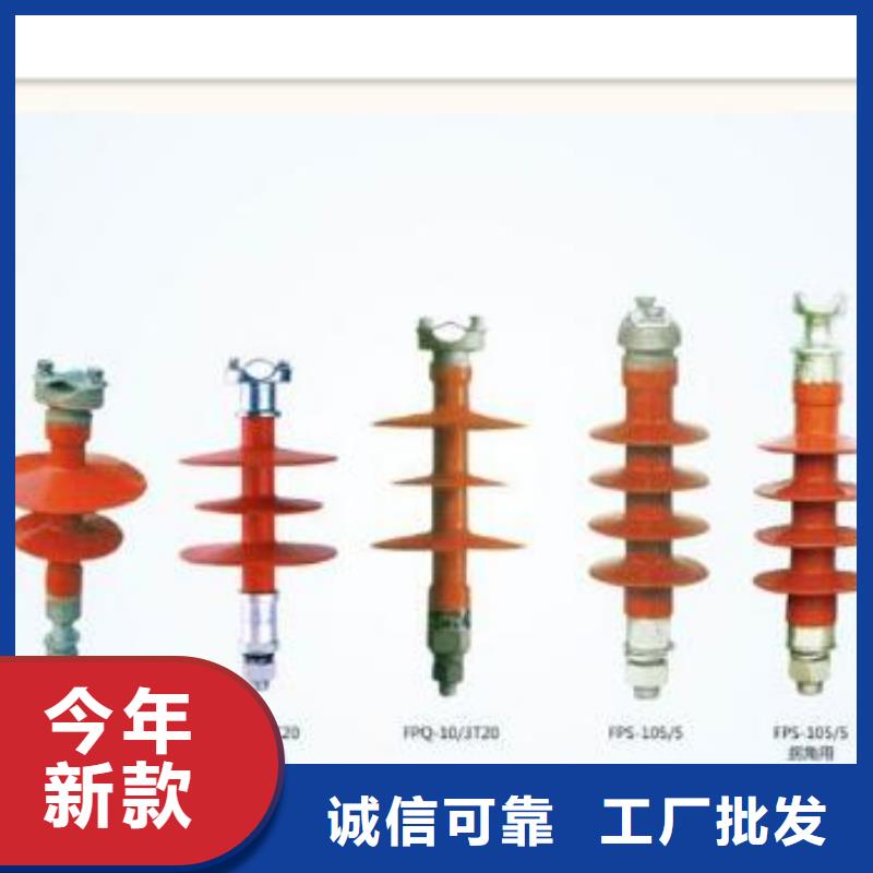 FXBW1-500/120绝缘子樊高
