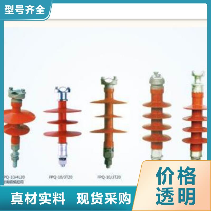 FXBW4-110/120绝缘子樊高