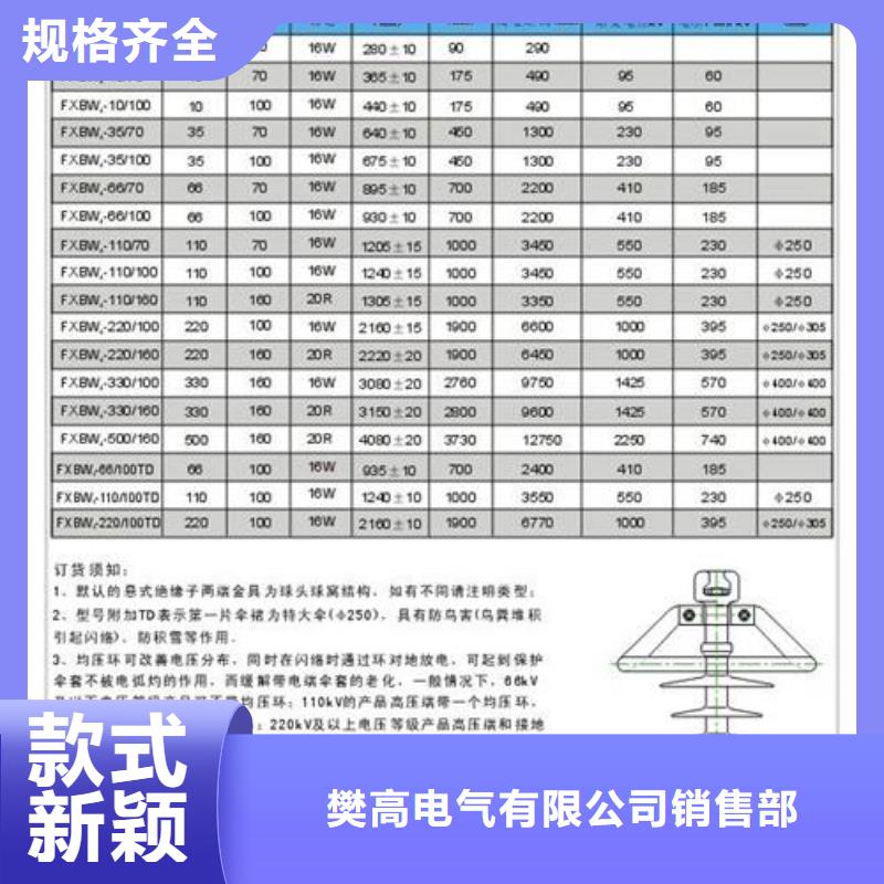 ZS-63/4高压绝缘子樊高电气