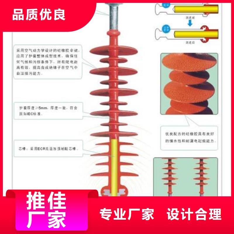 ZSW2-110/400户外支柱绝缘子