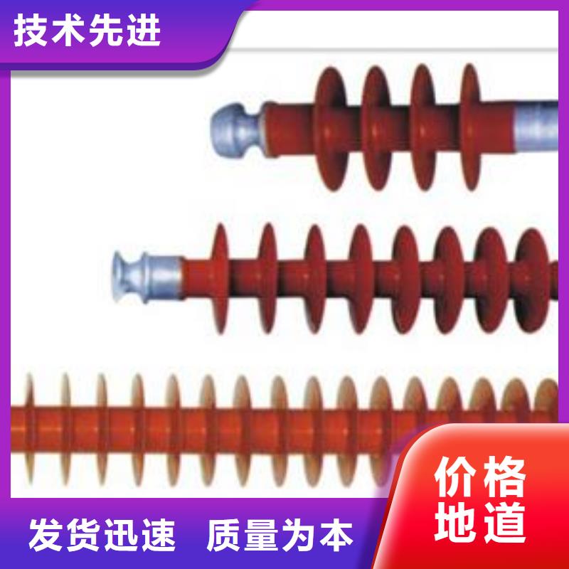 FXBW2-500/300绝缘子樊高