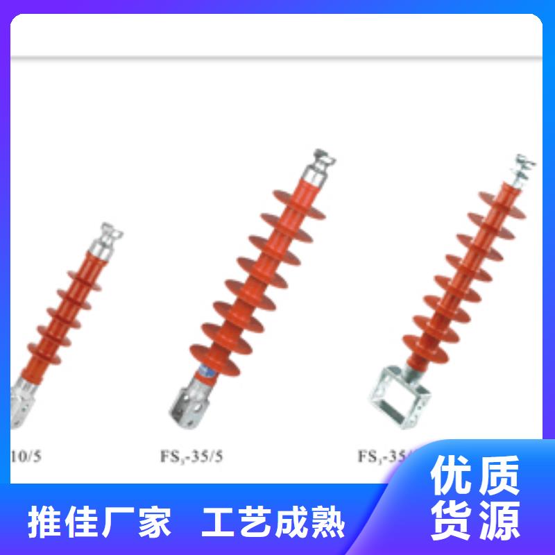 ZJ-10Q65*140高压环氧树脂绝缘子