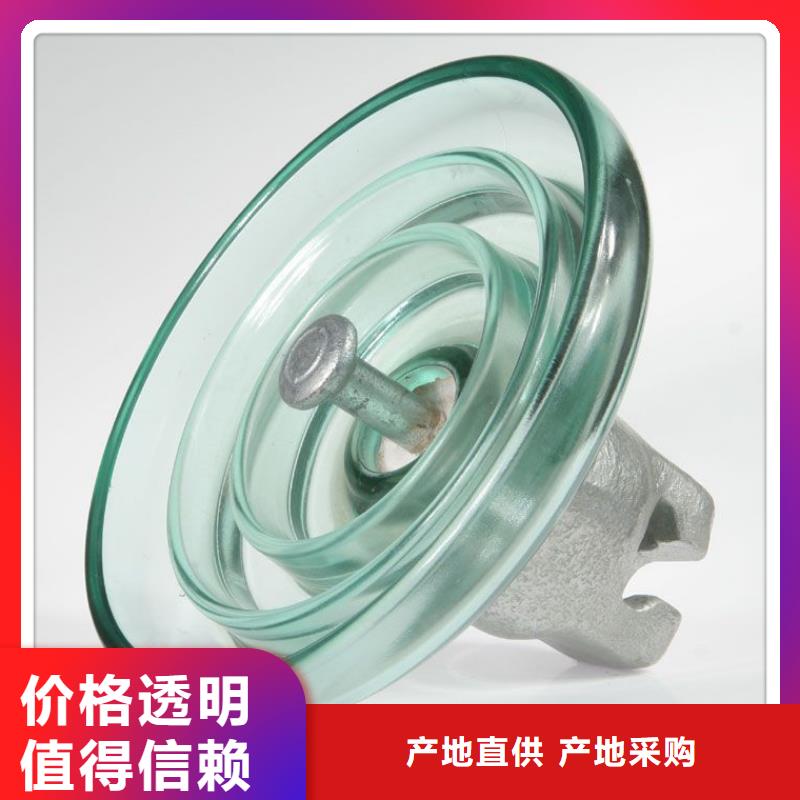 FXBW1-66/70硅胶绝缘子