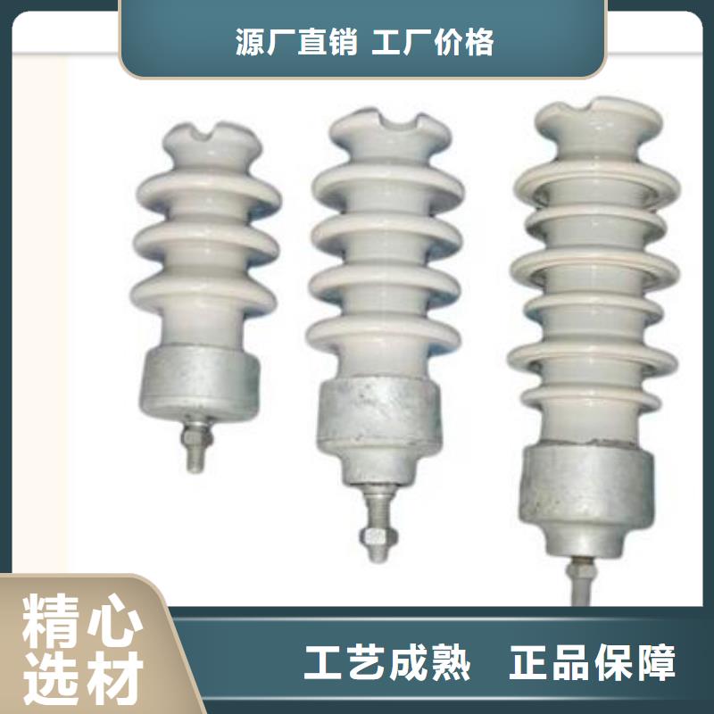 ZLD-10F陶瓷绝缘子