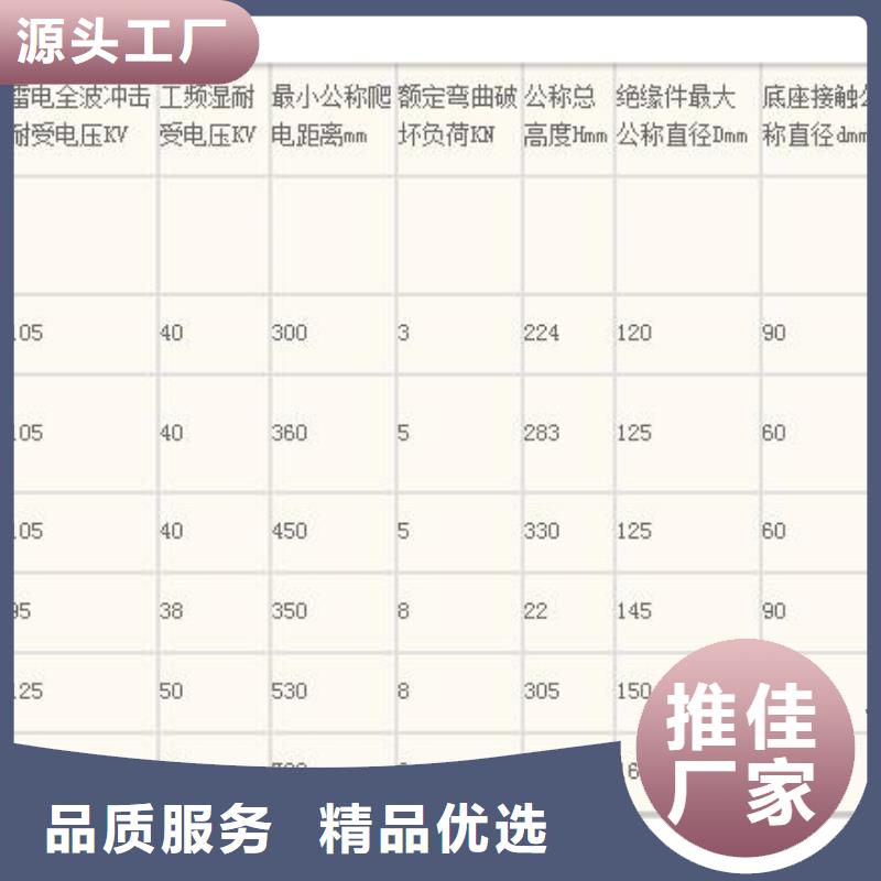 ZSW2-110/400户外支柱绝缘子
