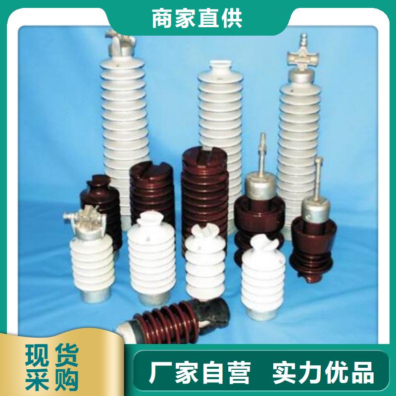 ZN-35KV/130*380高压绝缘子