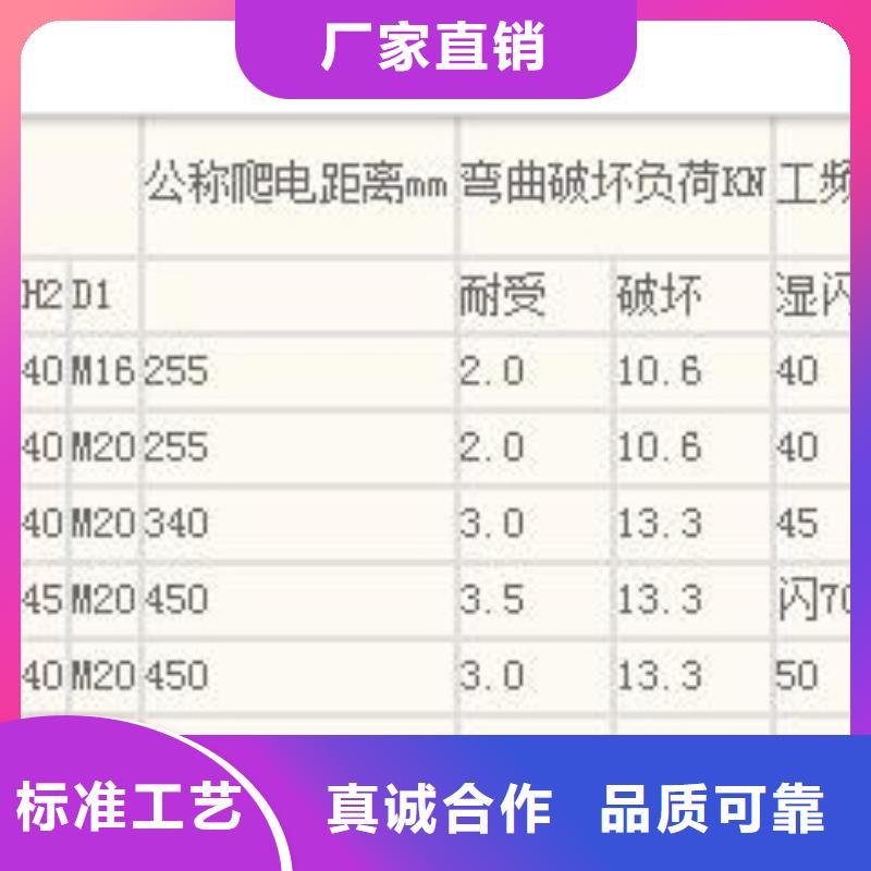 FXBW2-500/120绝缘子樊高