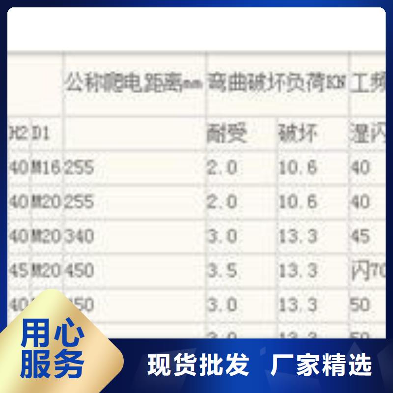 FXBW1-110/120高压棒型绝缘子
