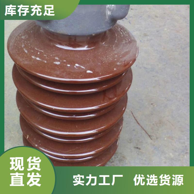 FPQ3-10/5T18复合绝缘子樊高