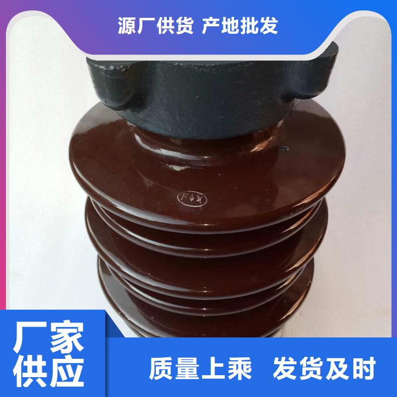 ZSW-252/8陶瓷支柱绝缘子